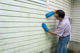 Best Siding Painting and Refinishing  in Topaz Ranch Estates, NV